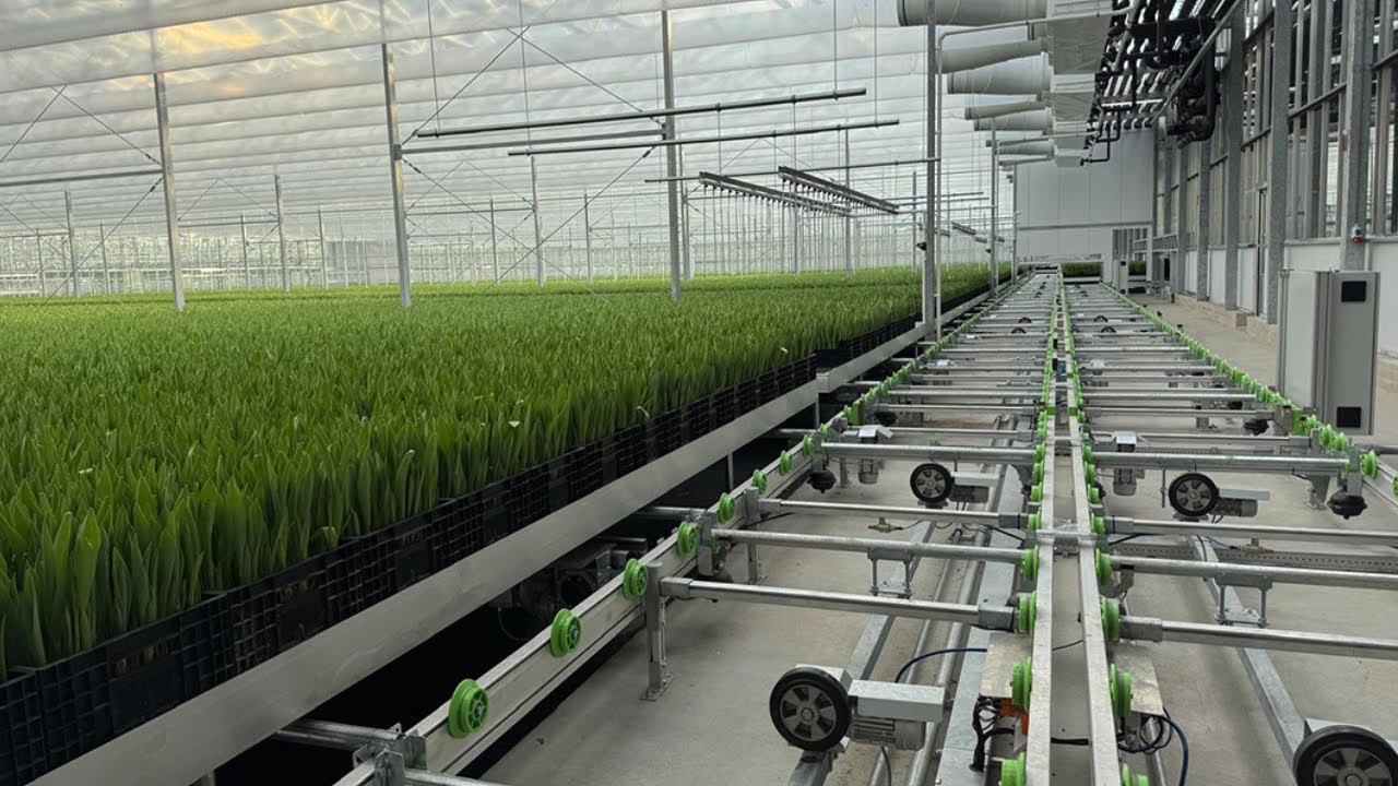 Project Zwettulips — Container systems