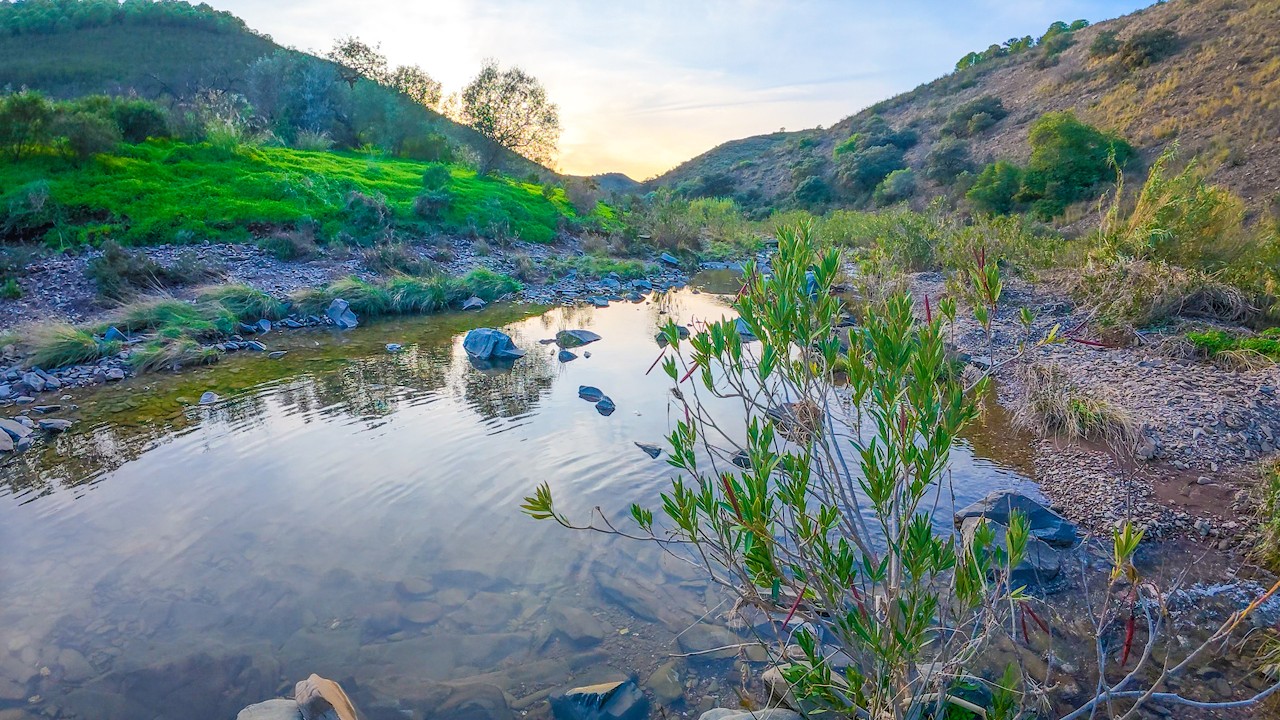Sunset Walk Along a Ribeira in Algarve – Unfiltered and Serene