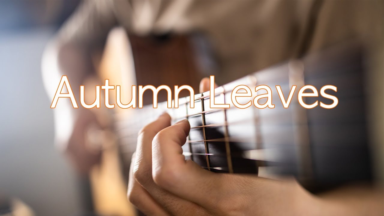 Autumn leaves - Satoshi GoGo (cover) 정재우 연주