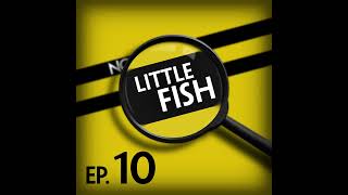 Little Fish: If You Believe What the Government Tells You