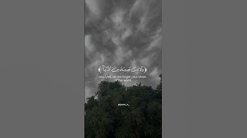 سورة القصص علي جابر رحمه الله #quran #اكسبلور #explore #قران_كريم #علي_جابر