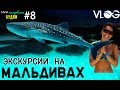 МАЛЬДИВЫ свидание с китовой акулой и др экскурсии ММБ #8