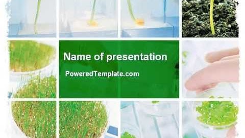 Free Plant Breeding In Laboratory PowerPoint Template by PoweredTemplate.com