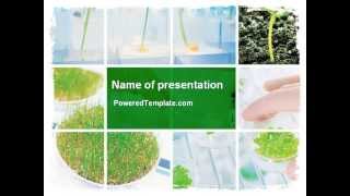 Free Plant Breeding In Laboratory PowerPoint Template by PoweredTemplate.com