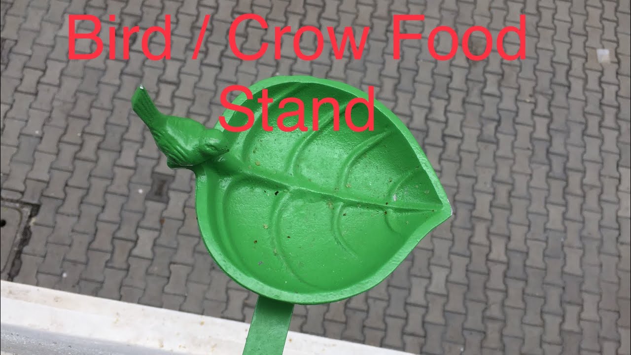 Bird Feeder Plate | Crow Food Plate | Review | Tamil