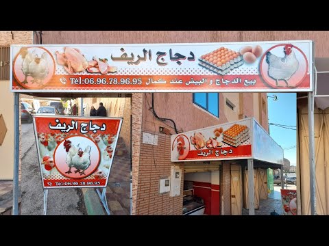 تصميم وطباعة إشهار لمحل بيع الدواجن