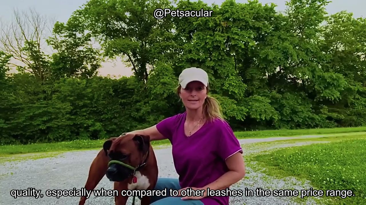 Fida Durable Slip Lead Dog Leash Review: Strong, Comfortable, and Perfect for Training