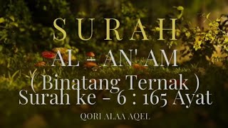 SURAH AL ANAM MERDU II QORI ALAA AQEL