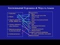 What Causes Autism?:  The Role of Environmental Exposures