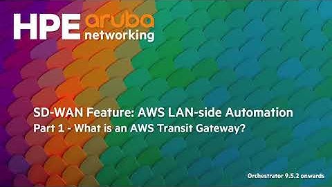 SD-WAN Feature: Background information about the AWS Transit Gateway.