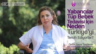 Seval Taşdemir-62