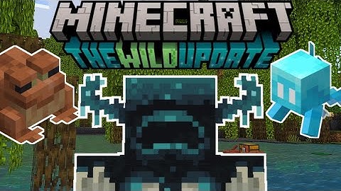 Minecraft 1.19 in a Nutshell