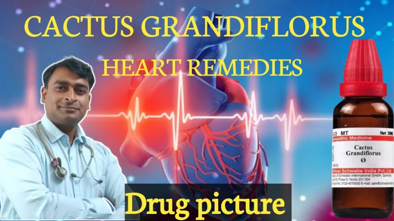 CACTUS GRANDIFLORUS DRUG PICTURE HOMOEOPATHIC MEDICINE CACTUS