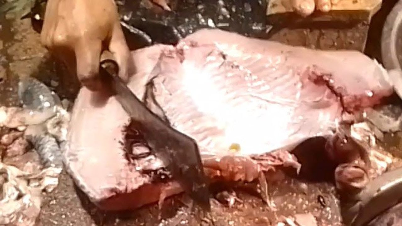 Incredible Giant Catla Fish Cutting skills | Fish Cutting In Bangladesh Fish Market
