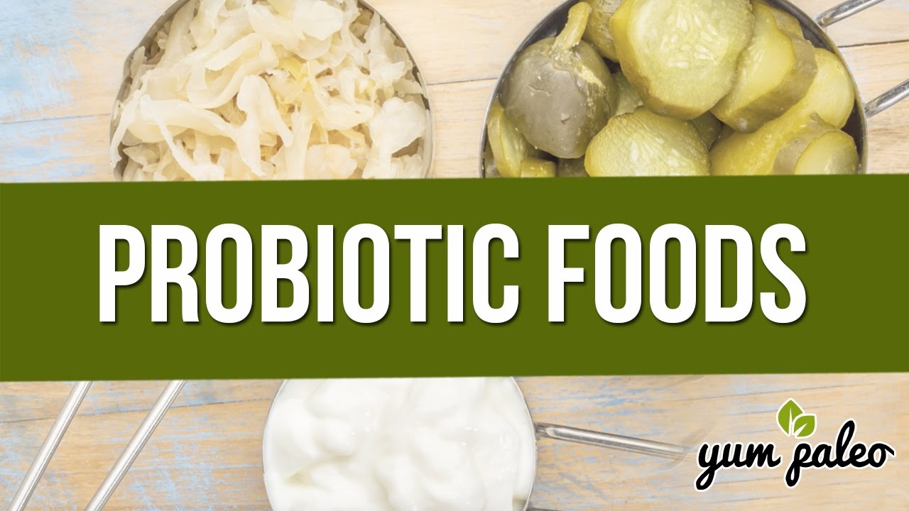 Probiotic Food YouTube