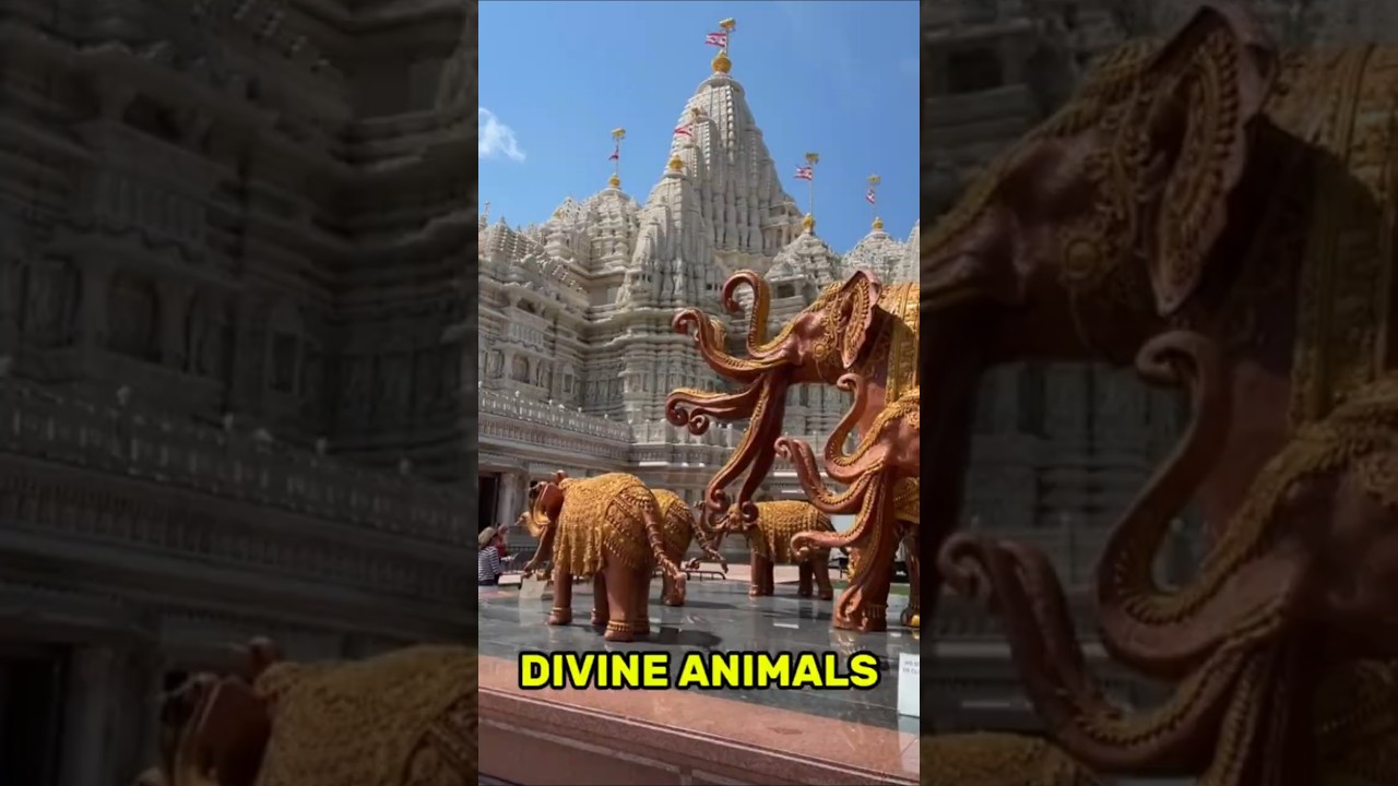 3 Divine Animals That Were Worshipped Like Gods