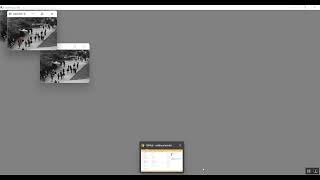 A Local–Global Estimator Based on Large Kernel CNN and Transformer for Human Pose Estimation and Run