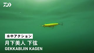 【ルアーアクション】月下美人 下弦|水面直下5㎝の微ロールアクション!