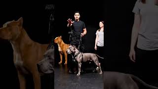 The Emergency Mistake Many Dog Owners Make During a Bite
