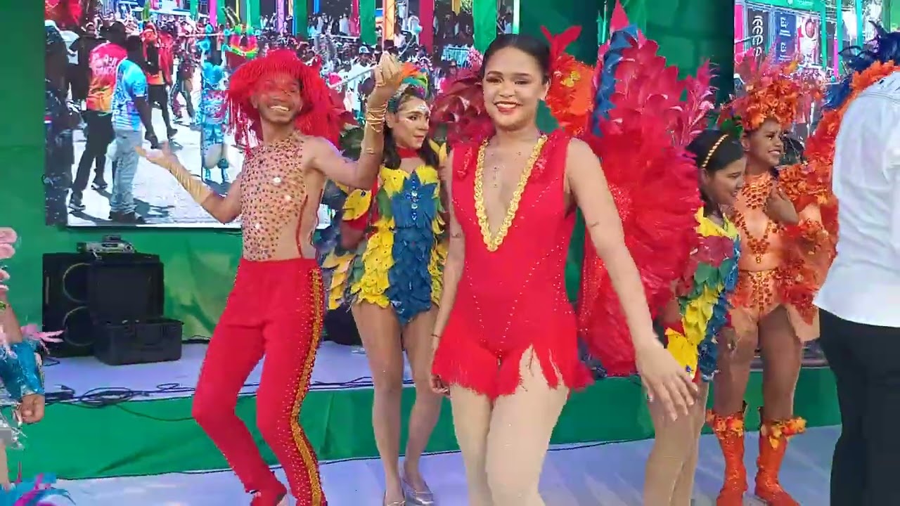 Desde carnaval de Santiago 2026 en su 2 domingo
