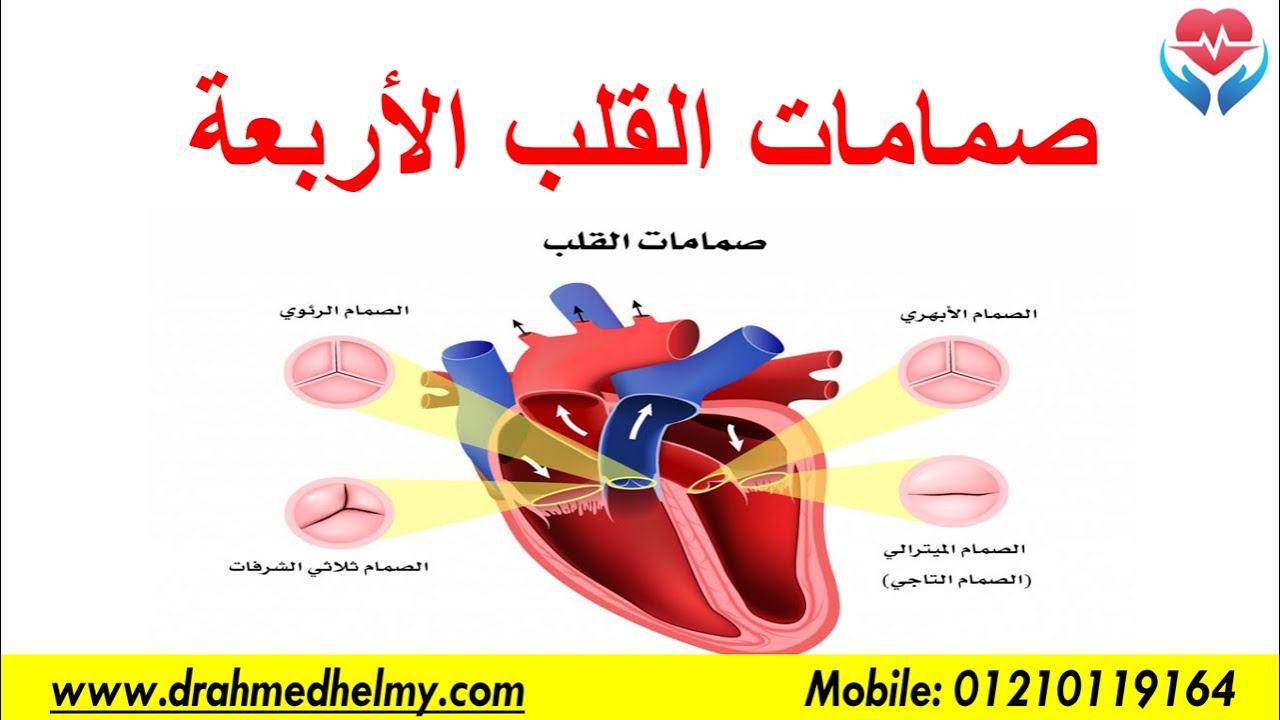 سعر عملية تغيير صمام القلب ودواعي إجرائها | الدكتور أحمد حلمي