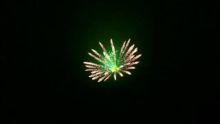 5 Butterfly with green pistil