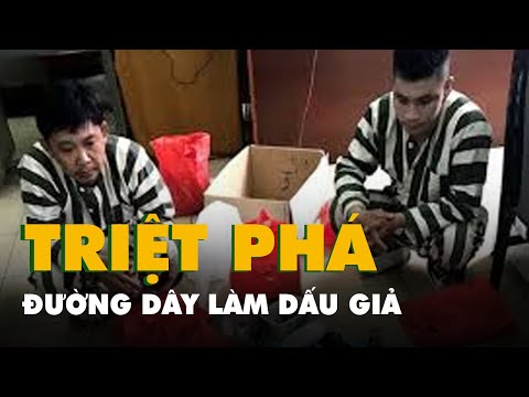 Video Đường dây 'khủng' làm đủ loại bằng với hàng ngàn con... - youtube