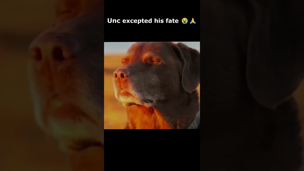 Unc Excepted His Fait😭🙏