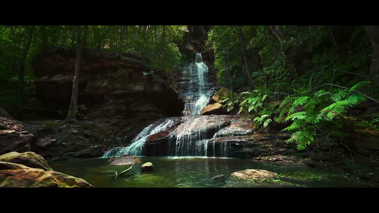 A Sabedoria Divina no Temors a Deus. Eclesiástico, Parte 2