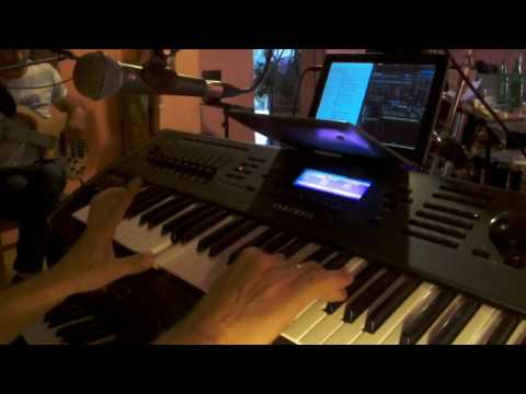 Domino Band -
