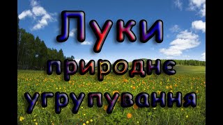 картинка: Луки природне угрупування.