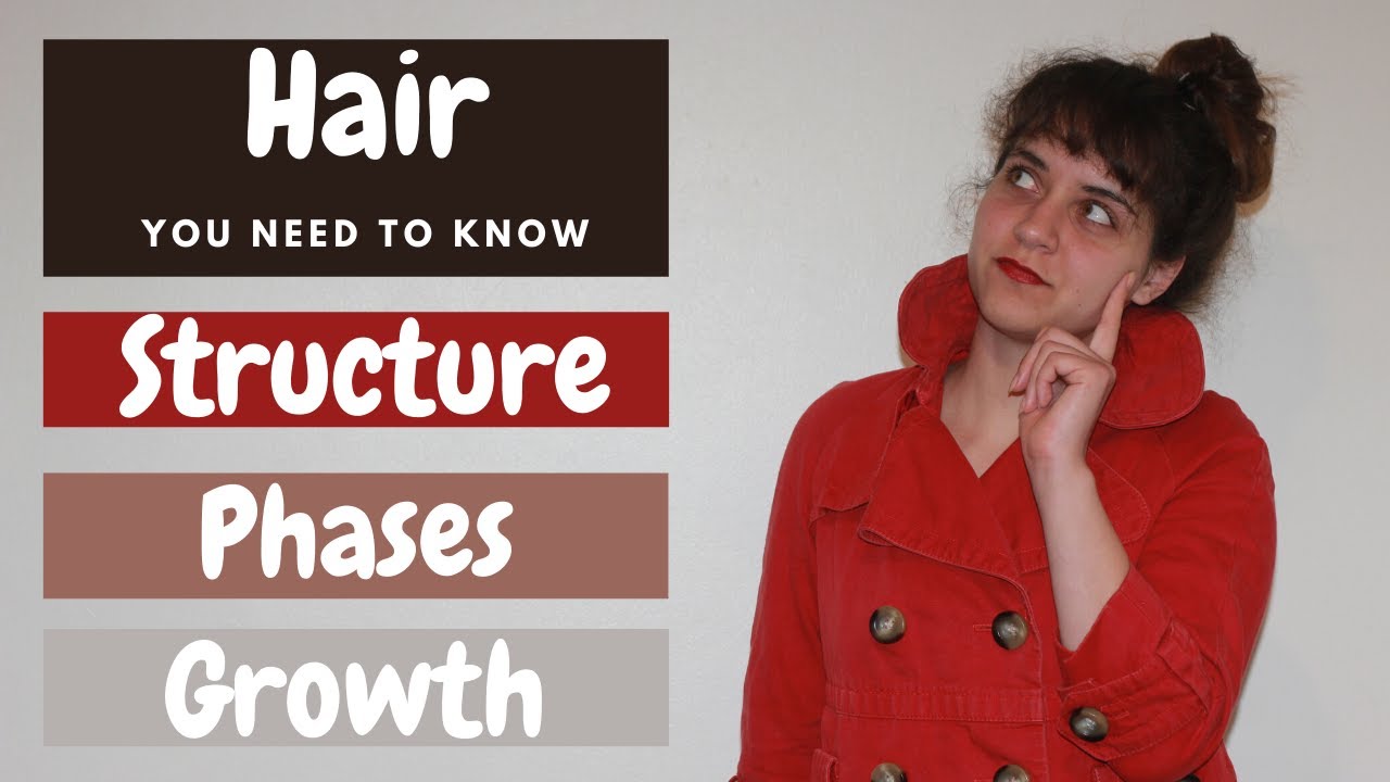 What Is The Hair Structure, Growth Phases, and Explanation YouTube