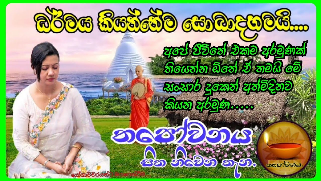 ධර්මය සොයාගෙන යන කෙනාට ධර්මය හමුවෙයි ඔහු ධර්මය දකියි#Thapowanaya සිත නිවෙන තැන 🙏