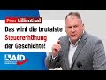 Wir müssen sie stoppen! – Peer Lilienthal (AfD)