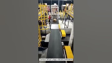 High-speed Swing arm sorter conveyor