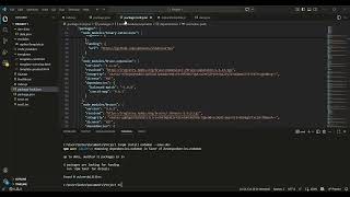 NPM, Package json and Versioning of Modules