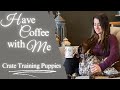 Crate Training and Potty Training Puppies - Coffee With Kat