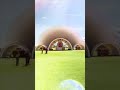 Circular Dimensions | Coachella 2022