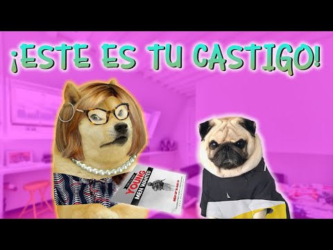 Abro Hilo - MADRE con DERECHO QUIERE ENVIARME A ESCUELA MILITAR COMO CASTIGO - Hilos con Cheems