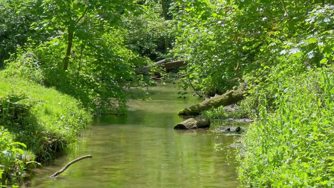 Old Buckingham country park