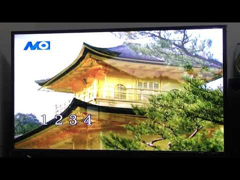 青蘋果樂園