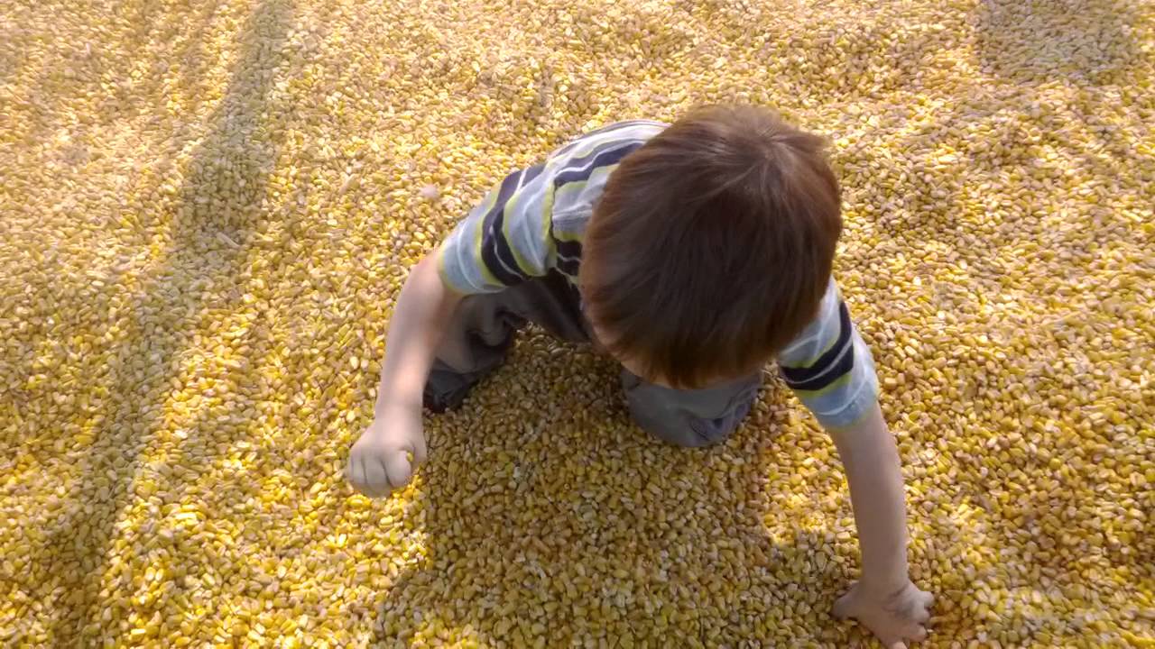 Corn box play - YouTube