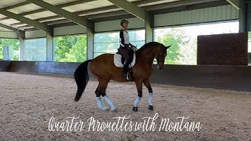 Quarter Pirouettes with Montana