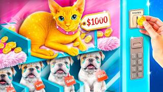 We Build a Secret Room for Pets! Rich Cat vs Poor Dog!