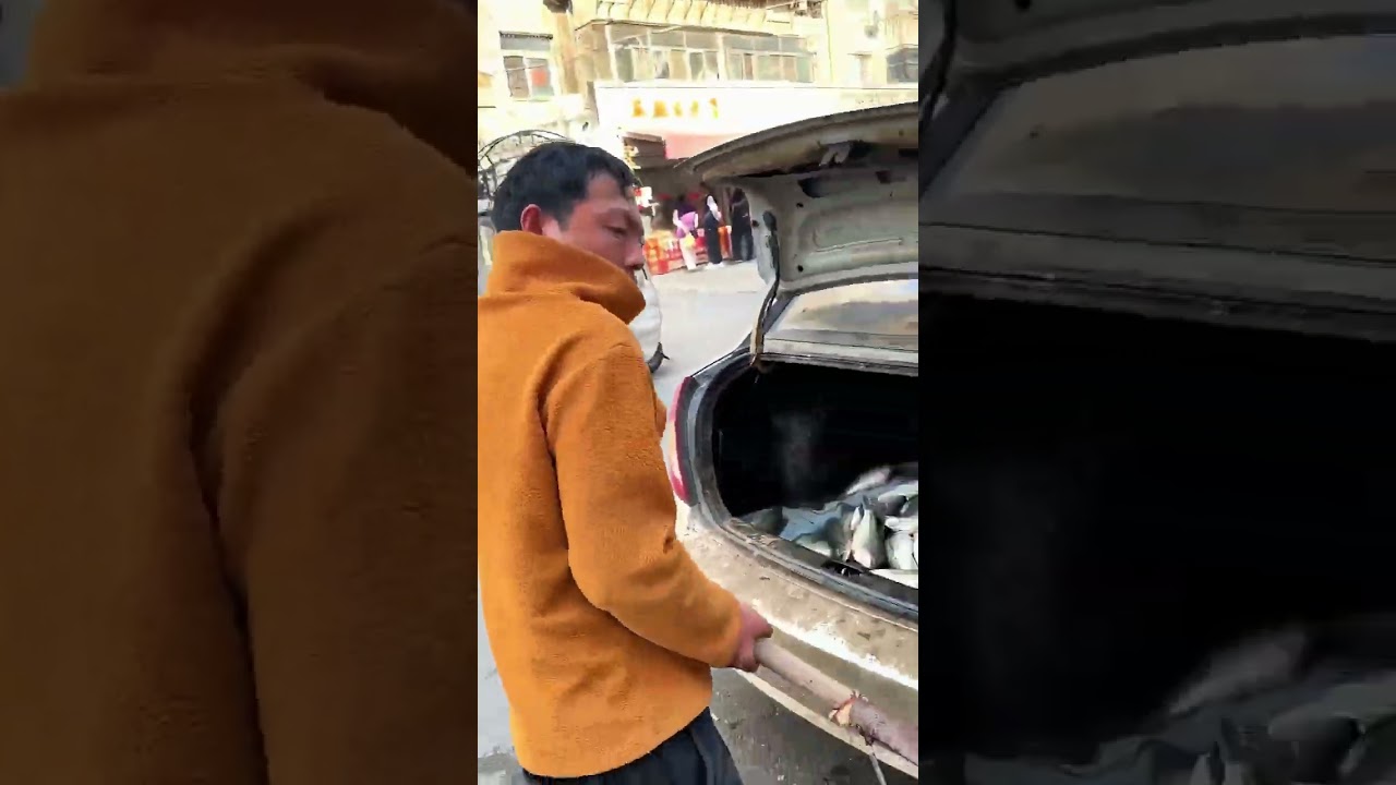 Short-Distance Live Fish Transport by Car Trunk !