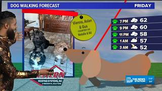 Saturday is a perfect fall day for pumpkin and apple picking, plus cute dogs!