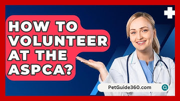 How To Volunteer At The ASPCA? - PetGuide360.com