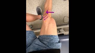 VMO leg lift. The best quad exercise for patellar tracking #kneepain #physiotherapy #physicaltherapy