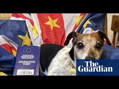 UK Pet Owners Beware EU Pet Passport Dodge Could Cost You