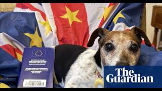 UK Pet Owners Beware: EU Pet Passport ‘Dodge’ Could Cost You!
